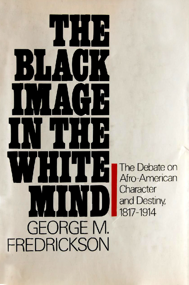 Cover of The Black Image in the White Mind