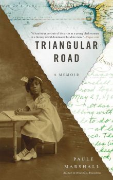 Cover of Triangular Road (2009)