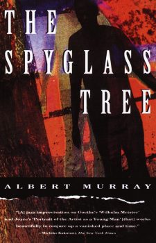 Cover of The Spyglass Tree (1991)