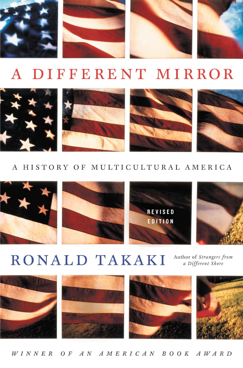 Cover of A Different Mirror