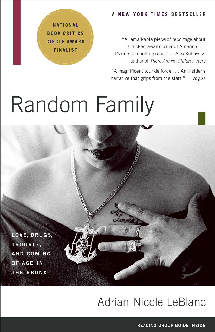 Cover of Random Family